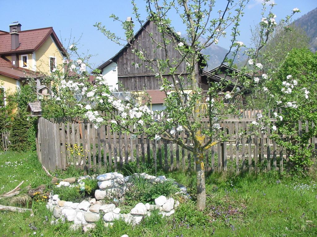 Ferienwohnung Am Pflanzgarten Эбензее Экстерьер фото