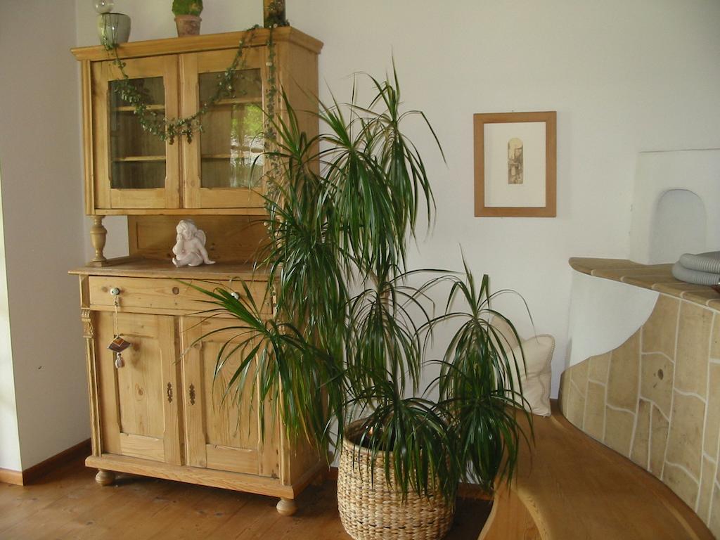 Ferienwohnung Am Pflanzgarten Эбензее Номер фото